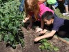 Learning Garden – Club Estates ES